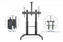 Digitus Stojak mobilny pojedynczy z półką i uchwytem na kamerę, 1xLCD max. 120" max. 140kg, VESA max. 1000x600