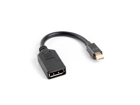 Lanberg Adapter mini Displayport (M) -> DisplayPort (F) na kablu 10cm czarny