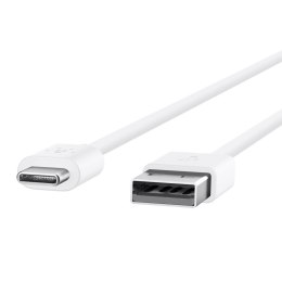 Belkin USB-C to USB-A Cable 2m White