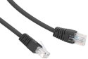 Kabel sieciowy UTP Gembird PP12-0.25M/BK kat. 5e, Patch cord RJ-45 (0,25 m)