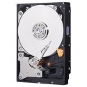 Western Digital HDD Blue 1TB 3,5'' 64MB SATAIII/7200rpm