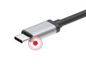 Hama Stacja dokująca USB C 10 portów