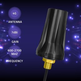 Qoltec Antena 4G LTE DUAL | 7dBi | dookólna | Zewnętrzna