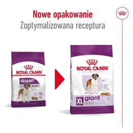 ROYAL CANIN SHN Giant Adult - sucha karma dla psa dorosłego - 15 kg