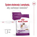 ROYAL CANIN SHN Giant Adult - sucha karma dla psa dorosłego - 15 kg