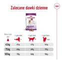 ROYAL CANIN SHN Giant Adult - sucha karma dla psa dorosłego - 15 kg