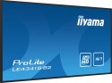 IIYAMA Monitor 42.5 cala ProLite LE4341S-B2 IPS,FHD,18/7,LAN,HDMI