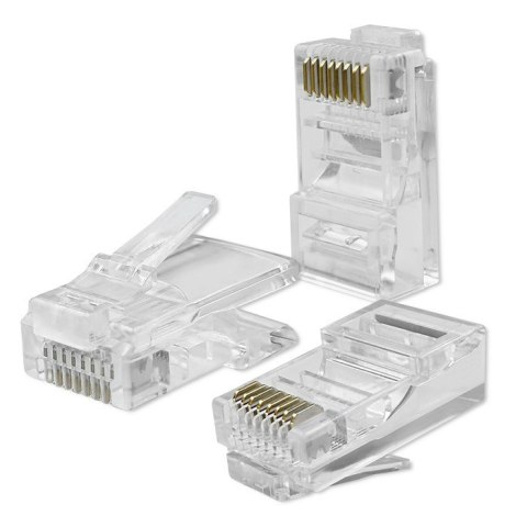 Qoltec Wtyk złącze modularne RJ45 | CAT6 | UTP | Pozłacane styki | 100 sztuk