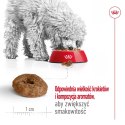 ROYAL CANIN Mini Ageing +12 3,5kg