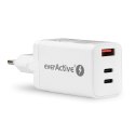 EverActive Ładowarka USB/USB-C QC4+ 65W technologia GaN Biała