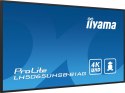 IIYAMA Monitor 50 cali LH5065UHSB-B1 AG, 24/7, VA, ANDROID 11, 4K, 800cd, iiSignage2, SDM, 2x HDMI, DP, 2x USB,2x 10W, RJ45, WiFi, 4/32