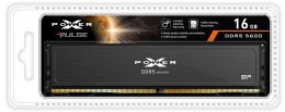 Silicon Power Pamięć DDR5 XPOWER Pulse 16GB/5600 1*16GB CL40