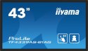 IIYAMA Monitor 43 cale TF4339AS-B1AG,IPS,4K,HDMIx2,DP,RJ45,3xUSB,40pkt, ANDROID,24/7