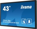 IIYAMA Monitor 43 cale TF4339AS-B1AG,IPS,4K,HDMIx2,DP,RJ45,3xUSB,40pkt, ANDROID,24/7