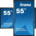 Iiyama T5562AS-B1 signage display Interaktywny płaski panel 138,7 cm (54.6") VA 500 cd/m² 4K Ultra HD Czarny Ekran dotykowy Proc