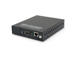 LevelOne FVM-1000 konwerter sieciowy 100 Mbit/s Czarny