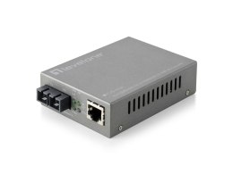 LevelOne FVS-3120 konwerter sieciowy 100 Mbit/s Pojedynczy Szary