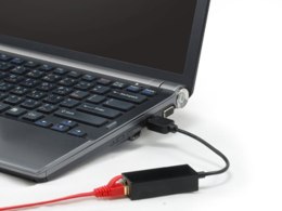 LevelOne USB-0301 karta sieciowa 100 Mbit/s