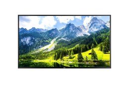 LG 43UT782H9ZA 109,2 cm (43