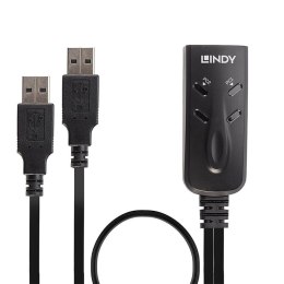 Lindy 32165 przełącznik KVM Czarny