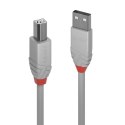 Lindy 36682 kabel USB 1 m USB 2.0 USB A USB B Szary