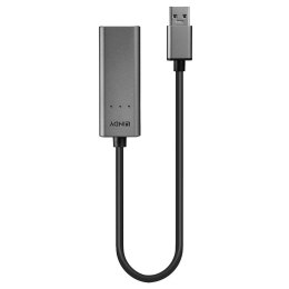 Lindy 43313 zmieniacz płci / kabli USB-A RJ-45 Srebrny