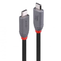 Lindy 36958 kabel USB 2 m USB4 Gen 3x2 USB C Czarny