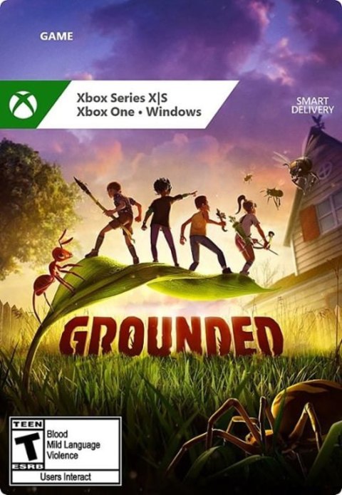 Microsoft Grounded Standardowy