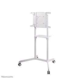 Neomounts NS-M1250WHITE uchwyt / stojak do monitorów 177,8 cm (70