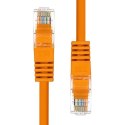 ProXtend 5UTP-003O kabel sieciowy Pomarańczowy 0,3 m Cat5e U/UTP (UTP)