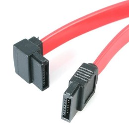 StarTech SATA12LA1 kabel SATA 0,3048 m Czerwony