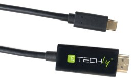 Techly IADAP-USBC-HDMI2TY zewnętrzna karta graficzna usb 3840 x 2160 px Czarny