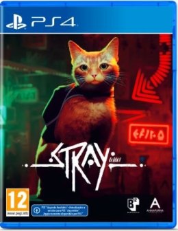 Plaion Gra PlayStation 4 Stray