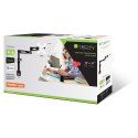 Techly ICA-LCD 502BK uchwyt / stojak do monitorów 68,6 cm (27") Biurko Czarny