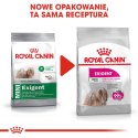 ROYAL CANIN CCN MINI EXIGENT - sucha karma dla psa - 3 kg