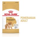 ROYAL CANIN BHN Pomeranian Adult - sucha karma dla psa dorosłego - 3kg