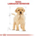 ROYAL CANIN BHN Labrador Puppy - sucha karma dla szczeniąt - 12kg