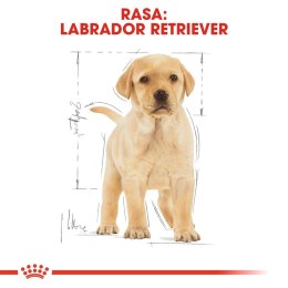 ROYAL CANIN BHN Labrador Retriever Puppy - sucha karma dla szczeniąt - 3kg