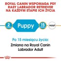 ROYAL CANIN BHN Labrador Retriever Puppy - sucha karma dla szczeniąt - 3kg