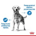 ROYAL CANIN CCN MEDIUM LIGHT WEIGHT CARE - sucha karma dla psa dorosłego - 3kg