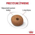 ROYAL CANIN CCN MEDIUM LIGHT WEIGHT CARE - sucha karma dla psa dorosłego - 3kg