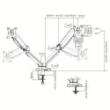 Techly ICA-LCD 462B uchwyt / stojak do monitorów 81,3 cm (32") Czarny Biurko