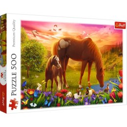 Trefl Puzzle 500 el. Konie na łące