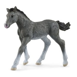 Schleich HORSE CLUB Trakehner Foal