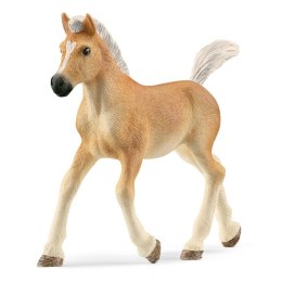 Schleich HORSE CLUB 13951 figurka dla dzieci