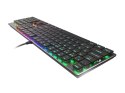 GENESIS Thor 420 RGB klawiatura Gaming USB AZERTY US English Srebrny