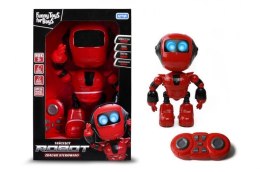 Robot tańczący Toys for Boys 148866