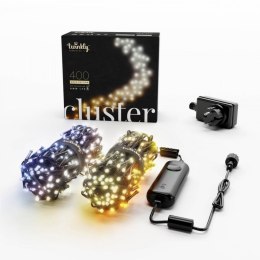 TWINKLY Inteligentne lampki LED Cluster 400 LED AWW girlanda, 6m, IP44, czarny przewód