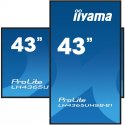 IIYAMA Monitor 43 cale LH4365UHSB-B1 24/7, IPS, ANDROID 11, 4K, 800cd, iiSignage2, SDM, 2x HDMI, DP, 2x USB,2x 10W, RJ45, WiFi, 4/32GB,