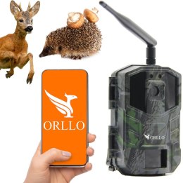 Fotopułapka GSM ORLLO Huntercam 3